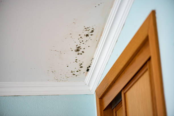 Best Crawl Space Mold Removal  in Del City, OK