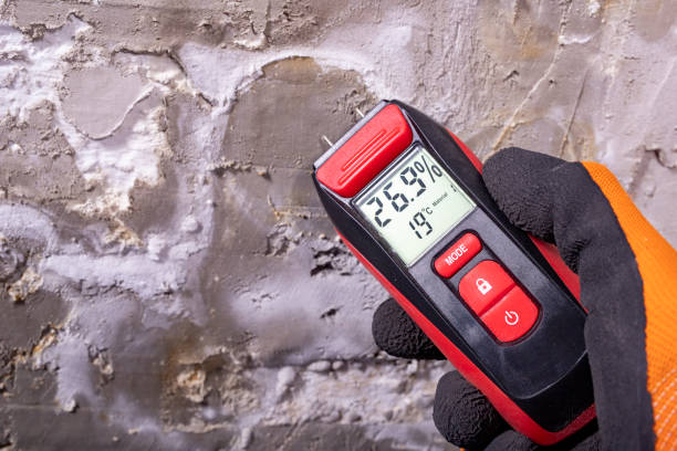 Best Certified Mold Removal  in Del City, OK