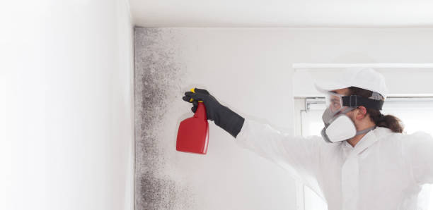 Best Crawl Space Mold Removal  in Del City, OK