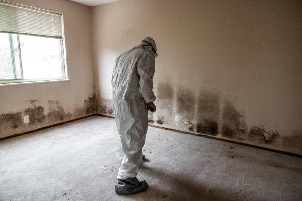 Best Toxic Mold Removal  in Del City, OK