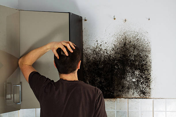 Best Professional Mold Removal  in Del City, OK